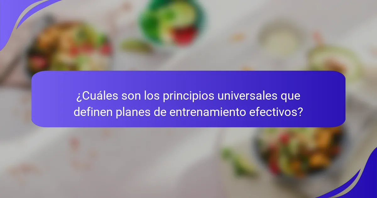 ¿Cuáles son los principios universales que definen planes de entrenamiento efectivos?